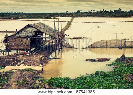 Homes On Stilts On The Floating Village Of Kampong Phluk, Tonle Sap Lake,siem Reap Province, Cambodi