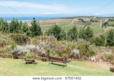 View Near Sir Lowrys Pass