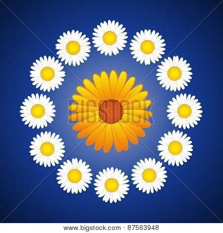 Daisies Aster Floral Wreath