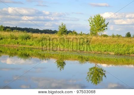 Lake At Sunny Day.