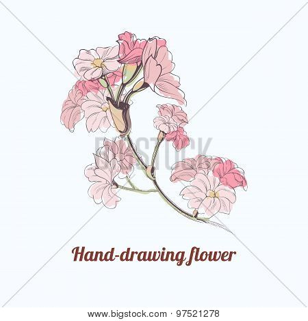 Vector hand-drawing flower. Page and postcard decoration element. Decoration for parfume bottles. Fl