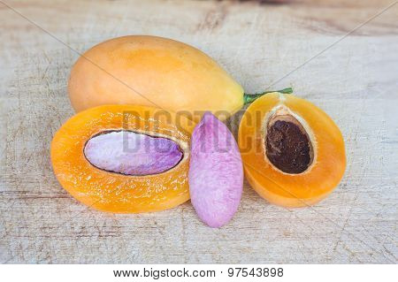 Close Up Marian Plum