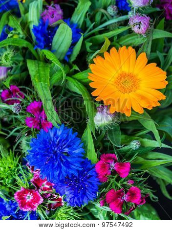 Bouquet with cornflowers and gerbera daisy