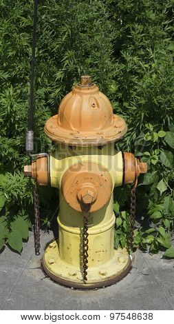 Fire Hydrant