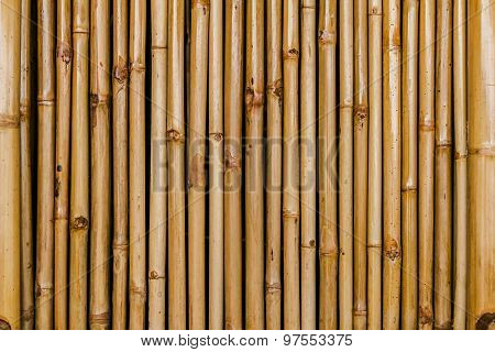 Bamboo Fence Background