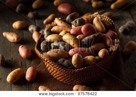 Raw Organic Fingerling Potatoes