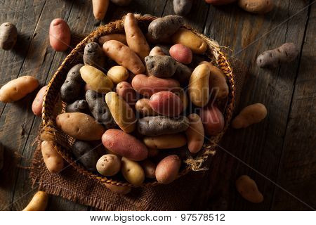 Raw Organic Fingerling Potatoes