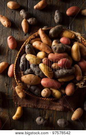 Raw Organic Fingerling Potatoes