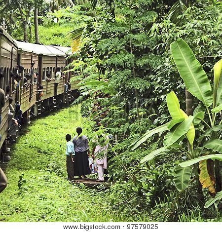 Riding By Train The Scenic Mountain Track From Nuwarelia To Colombo