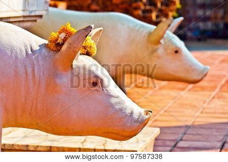 Beautiful Statue Of Pigs As Gods Dressed With Flowers  In Temple Wat Yai Chai Mongkol