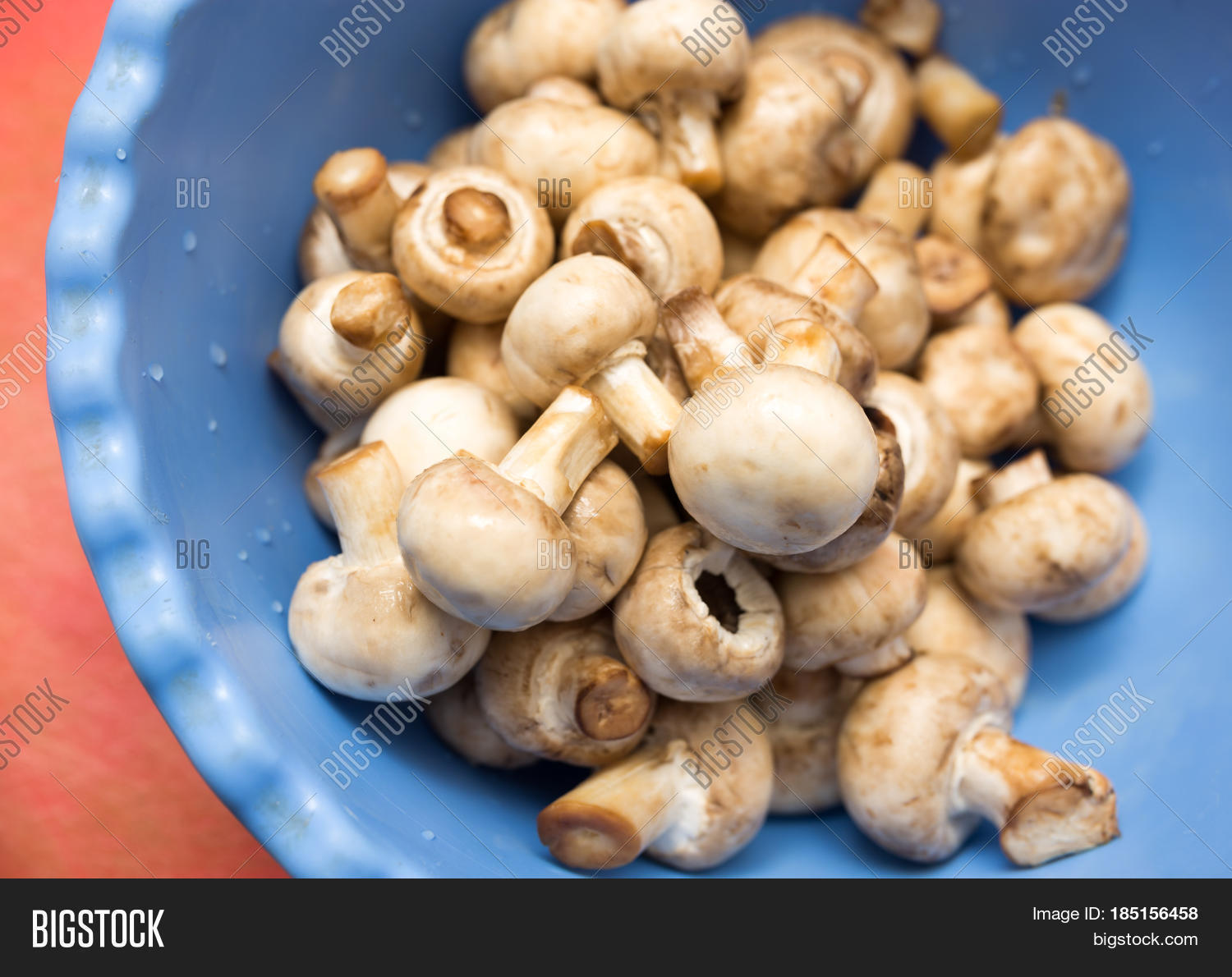 Clean Fresh Mushrooms Image & Photo (Free Trial) | Bigstock