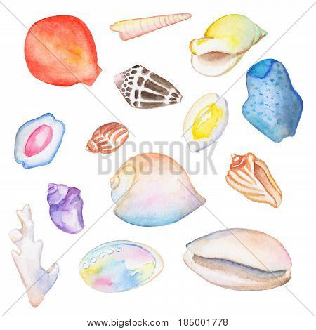 Watercolor seashells on white background hand-drawn illustration. Marine shells in pastel colors. Watercolour summer vacation design elements. Watercolor sea shells clipart. Isolated nautical animals