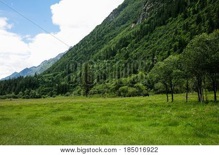 Four girl mountain build gully scenery in Sichuan, China