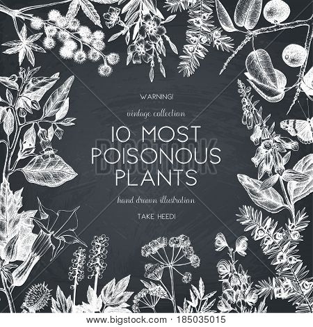 Vector frame design with hand drawn poisonous plants illustration. Vintage noxious plants sketch background. Botanical template with poisonous flowers on chalkboard