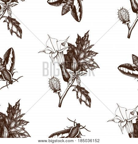 Vintage seamless pattern with Ink hand drawn sphinx butterflies illustration and Thorn-apple flower sketch. Vector background with highly detailed moth and poisonous plant sketch