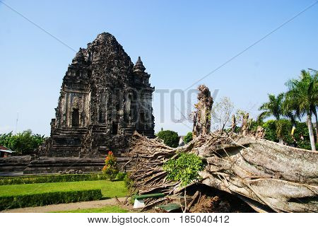 Kalasan temple is located in Kalibening village, Tirtamani, Sleman Regency, Yogyakarta, Indonesia