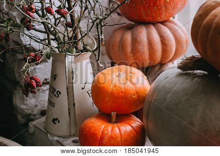 Rero fall stillife with pumpkins and vase for background