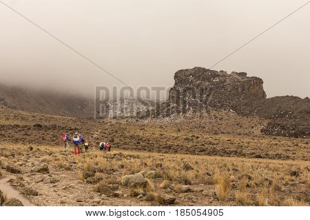 Track on Kilimanjaro on the Machame Route Whiskey. 3 day on the way