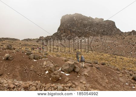 Track on Kilimanjaro on the Machame Route Whiskey. 3 day on the way