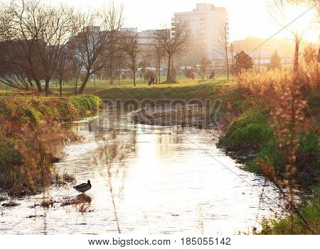 Happy and calm life in a natural park, countryside at sunset. Cute duck, Calm Lake and People having fun outdoors. Concepts of family, healthy lifestyles and happiness.