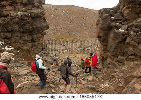 Track on Kilimanjaro on the Machame Route Whiskey. 3 day on the way