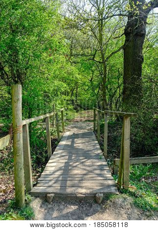 Wooden bridge crossing in the forest in Essex in Springtime.