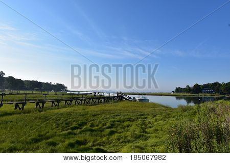 Lush green marsh grass with scenic views of Duxbury Bay.