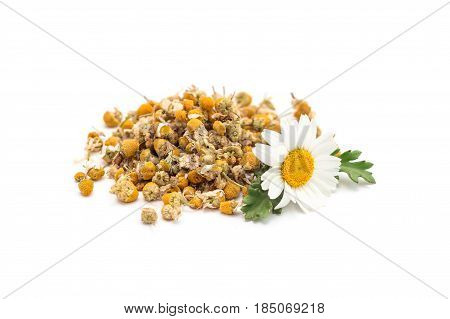 Heap of dry herbal chamomile tea with fresh chamomile flowers isolated on white background