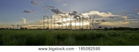 Panaroma of  a beautiful sunset covered with clouds and grasses.