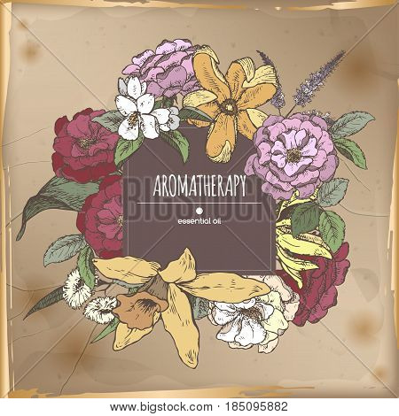 Romantic center frame template with roses, vanilla, ylang-ylang, jasmine, mint and eucalyptus sketch on vintage backgruond. Aromatherapy series. Great for greeting card design, cooking or gardening.