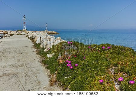 Spring flowers and pier in Skala Sotiros, Thassos island, East Macedonia and Thrace, Greece