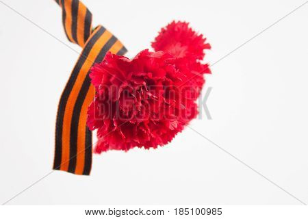 Three Red Cloves Tied With Saint George Ribbon On White