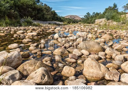 A view of the Gobos riverbed at Greyton a small town in the Western Cape Province of South Africa