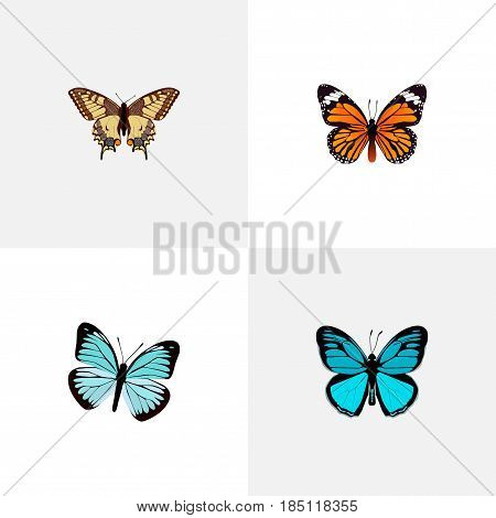 Realistic Tiger Swallowtail, Monarch, Lexias And Other Vector Elements. Set Of Moth Realistic Symbols Also Includes Orange, Tiger, Swallowtail Objects.