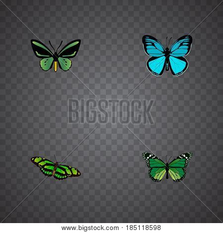 Realistic Tropical Moth, Green Peacock, Birdwing And Other Vector Elements. Set Of Beauty Realistic Symbols Also Includes Blue, Butterfly, Green Objects.