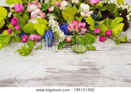 Louiseania, muscari and other fresh branches on a white wooden background.