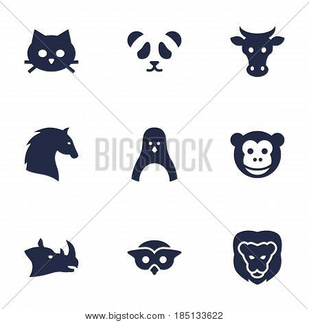 Set Of 9 Brute Icons Set.Collection Of Wildcat, Kine, Night Fowl And Other Elements.