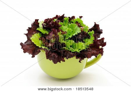 Hojas de lechuga en un tazón de fuente