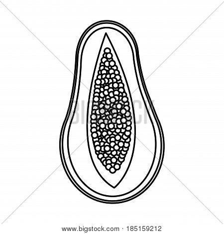 half papaya tropical fruit delicious design line vector illustration