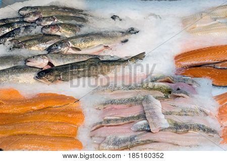 Fresh fish fillets on ice for sale at a market
