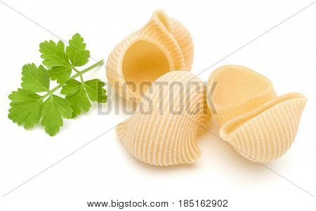 Italian lumaconi isolated on white background. Lumache, snailshell shaped pasta.