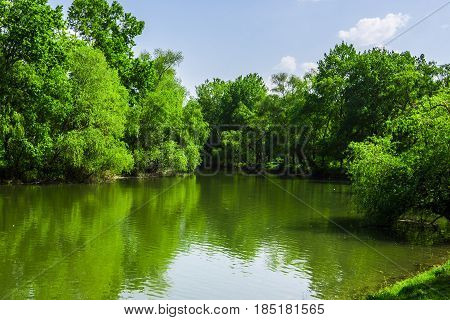 Forest river may afternoon. Spring landscape on the river in the National Park