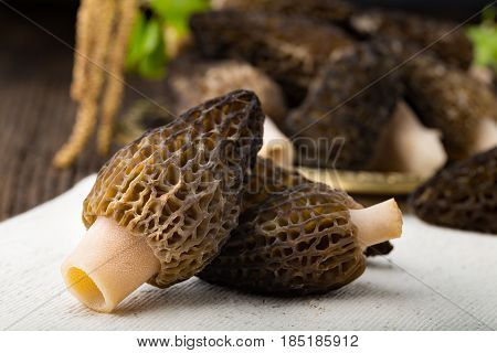 Fresh Morchella Conica, Seasonal Mushrooms.