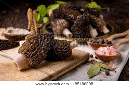 Fresh Morchella Conica, Seasonal Mushrooms