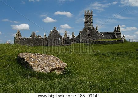 ruins of Friary of Ross in Ireland