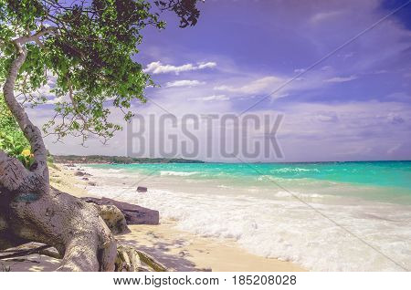 Paradise Playa Blanca beach of Baru bin Colombia