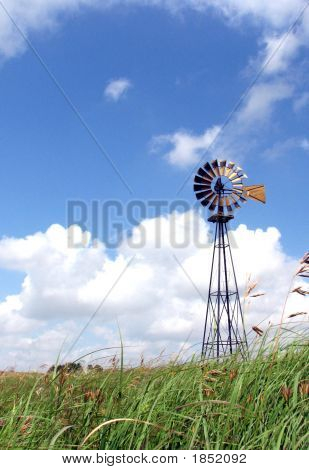 Windmühle & Wildblumen