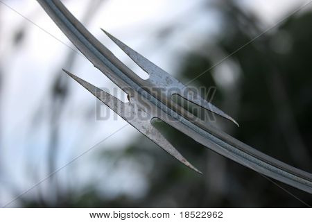 Makro-Ansicht von razorwire