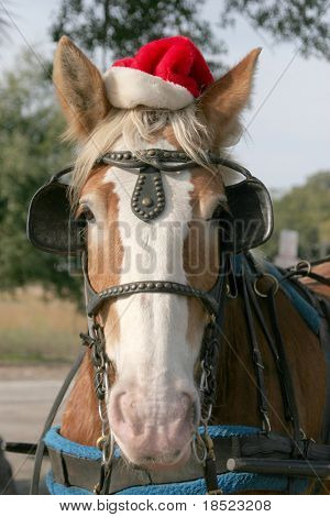 Merry horsemas