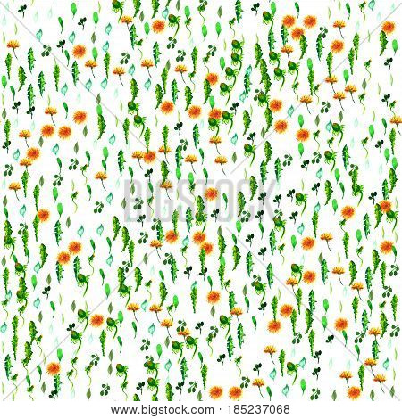 seamless pattern of wild flowers. yellow dandelions. watercolor